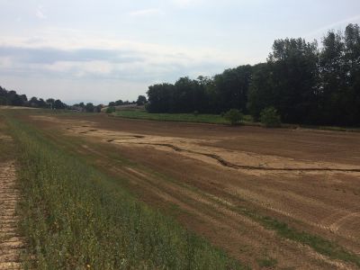 Flood expansion zone in Vendenheim