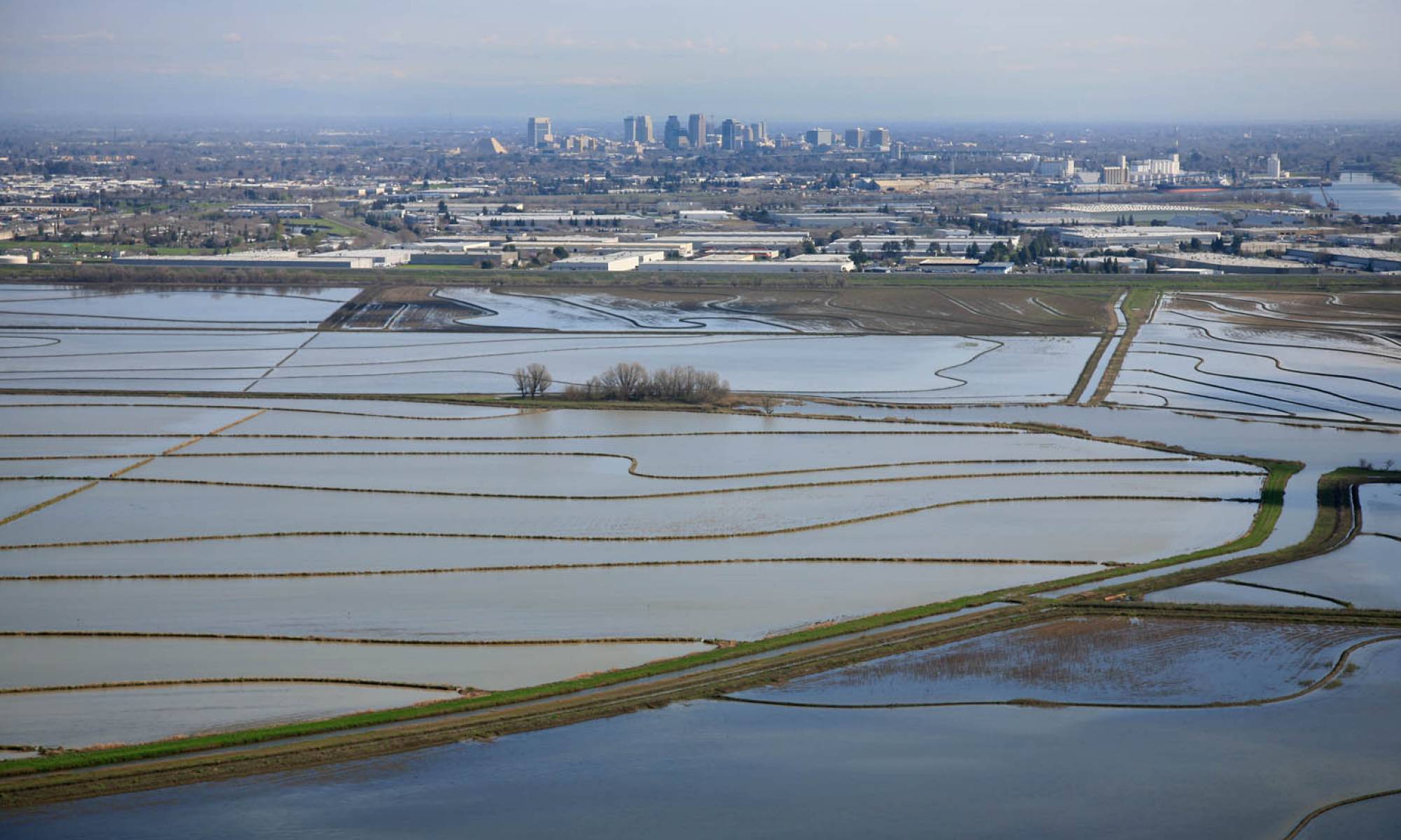 yolo bypass landscape near San Francisco