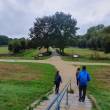 people walking in a park in Angers