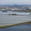 yolo bypass landscape near San Francisco