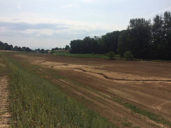 Flood expansion zone in Vendenheim